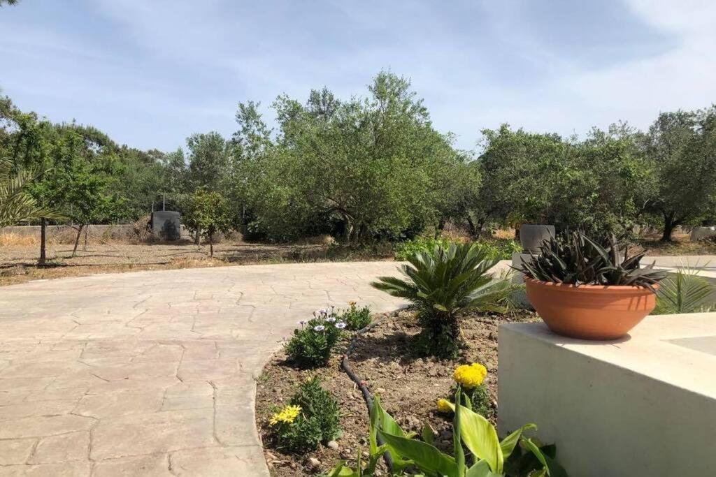 Fiore Di Rodi - Private Pool, Jacuzzi And Barbecue إياليسوس المظهر الخارجي الصورة