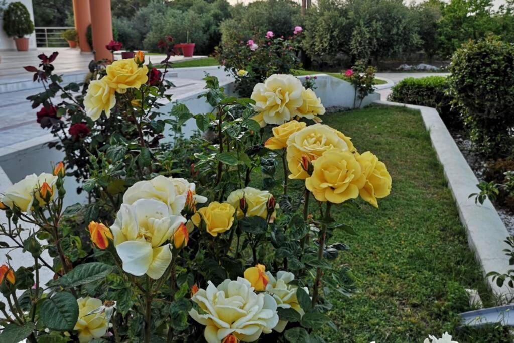 Fiore Di Rodi - Private Pool, Jacuzzi And Barbecue إياليسوس المظهر الخارجي الصورة